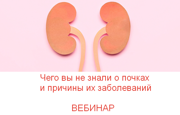 Валерий Подрубаев humberto 2.0 Чего вы не знали о почках и причины их заболеваний 2023 слив курса