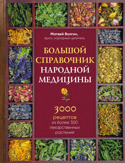 Большой справочник народной медицины. 3000 рецептов из 300 лекарственных растений 2018 слив курса