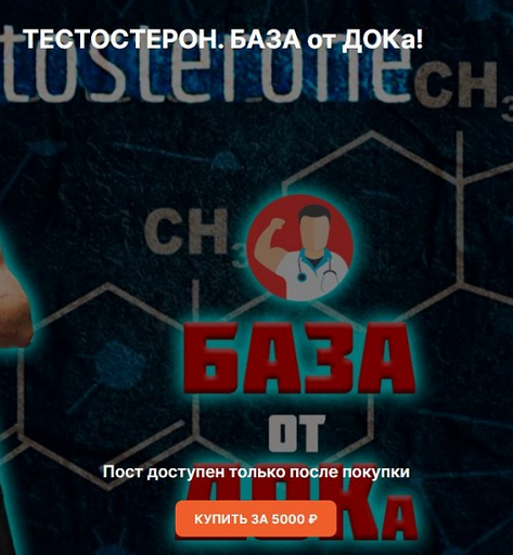 Андрей Егоров Тестостерон. База 2024 слив курса