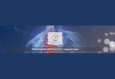 Мария Недре Центр Практика Прикладная неврология 2: грудной отдел 2025 скачать слив