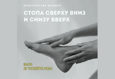 Александр Волоткевич Стопа сверху вниз и снизу вверх 2024 слив