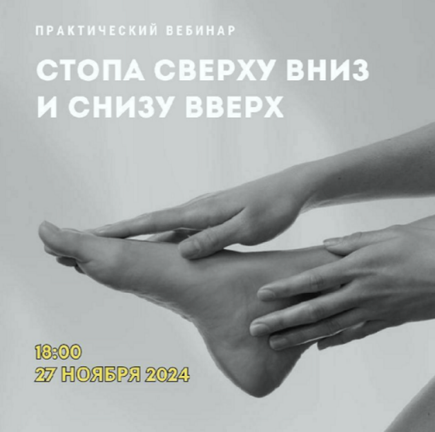 Александр Волоткевич Стопа сверху вниз и снизу вверх 2024 слив курса