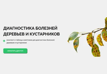 Умный садовник Диагностика болезней деревьев и кустарников 2025 слив