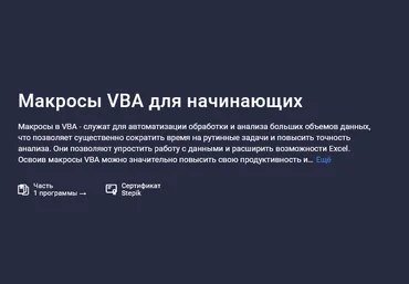 Лариса Зубенкова Stepik Макросы VBA для начинающих 2025 слив