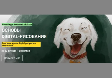 KalachevaSchool Аксинья Ла Палома - Основы digital-рисования 2021 слив
