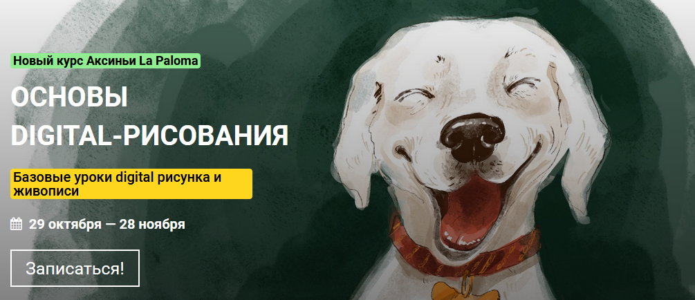KalachevaSchool Аксинья Ла Палома - Основы digital-рисования 2021 слив курса