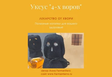 Анна Fermenterra Fermenterra Уксус 4-х воров. Лекарство от хвори 2023 слив