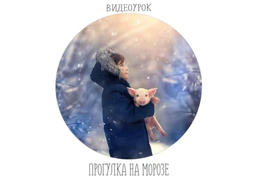 Anti.photograph Прогулка на морозе 2018 слив