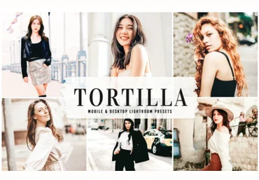 Elements.Envato Tortilla Mobile & Desktop Lightroom Presets 2021 скачать слив