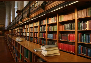 Архив книг библиотеки «Ryan`s library» слив