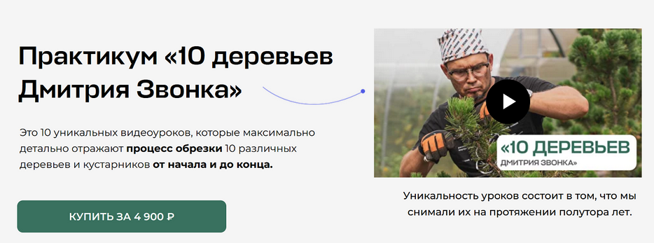 Дмитрий Звонка Умный садовник 10 деревьев Дмитрия Звонка 2025 слив курса