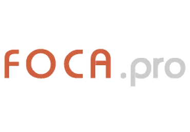 FocaPro - инструмент для анализа сайтов слив