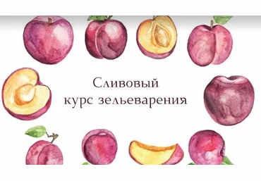 Ирина Таро dom_ulitki Курс Зельеварения - Сливовый. Новый! 2021 слив