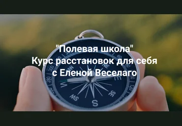 Елена Веселаго Институт Открытого поля Полевая школа. Курс расстановок для себя 2025 слив