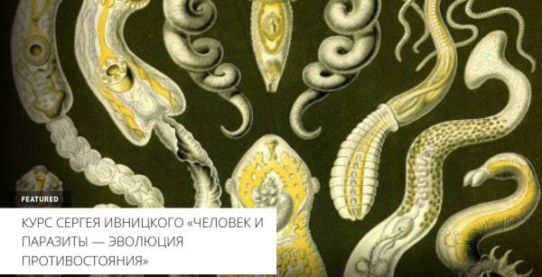 Архэ Сергей Ивницкий -Человек и паразиты — эволюция противостояния. Эволюция паразитизма 2023 слив курса