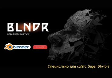 Вольница Blndr 2.0 Lite — Новая Надежда 2022 Андрей Шкиль слив