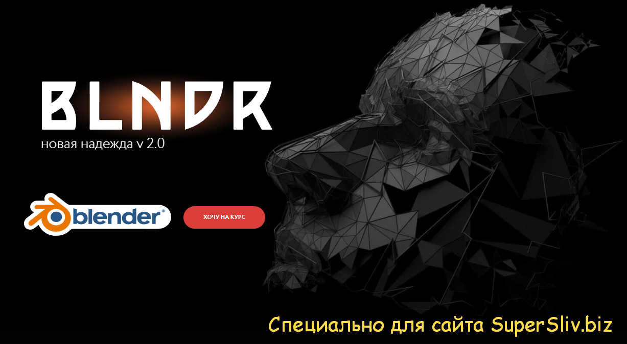 Вольница Blndr 2.0 Lite — Новая Надежда 2022 Андрей Шкиль слив курса