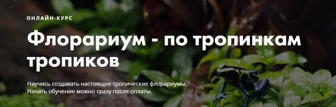 Онлайн-школа «Мир за стеклом» Флорариум - по тропинкам тропиков 2019 слив курса