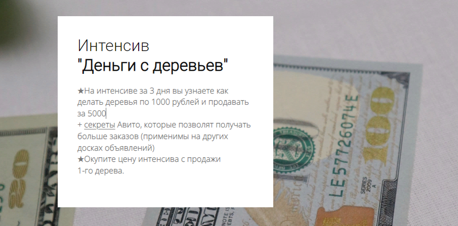 my.love.dom Деньги с деревьев 2023 слив курса