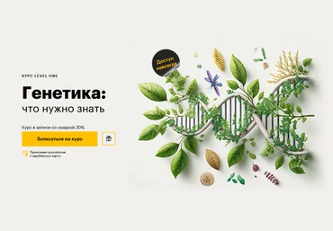 Егор Мусин Level One Генетика: что нужно знать 2023 слив
