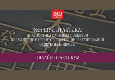 Китайская метафизика Фен шуй практика. Диагностика сложных объектов, обсуждение вариантов коррекци слив