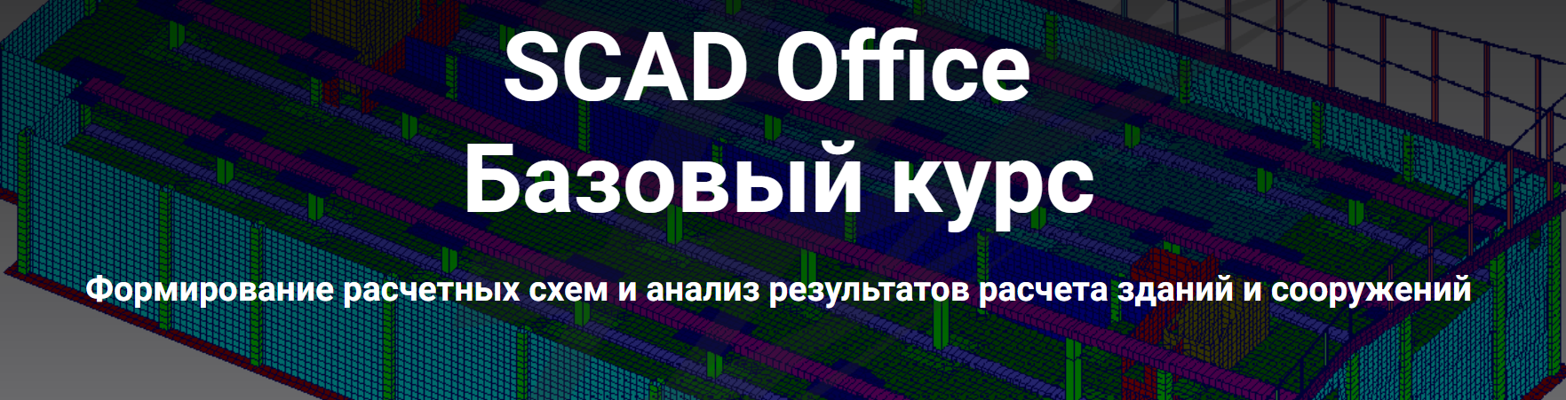 Школа НИП SCAD Office. Базовый курс 2022 слив курса