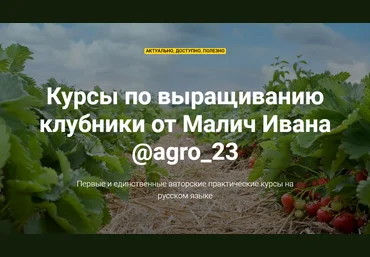 Иван Малич Курсы по выращиванию клубники 2020 слив