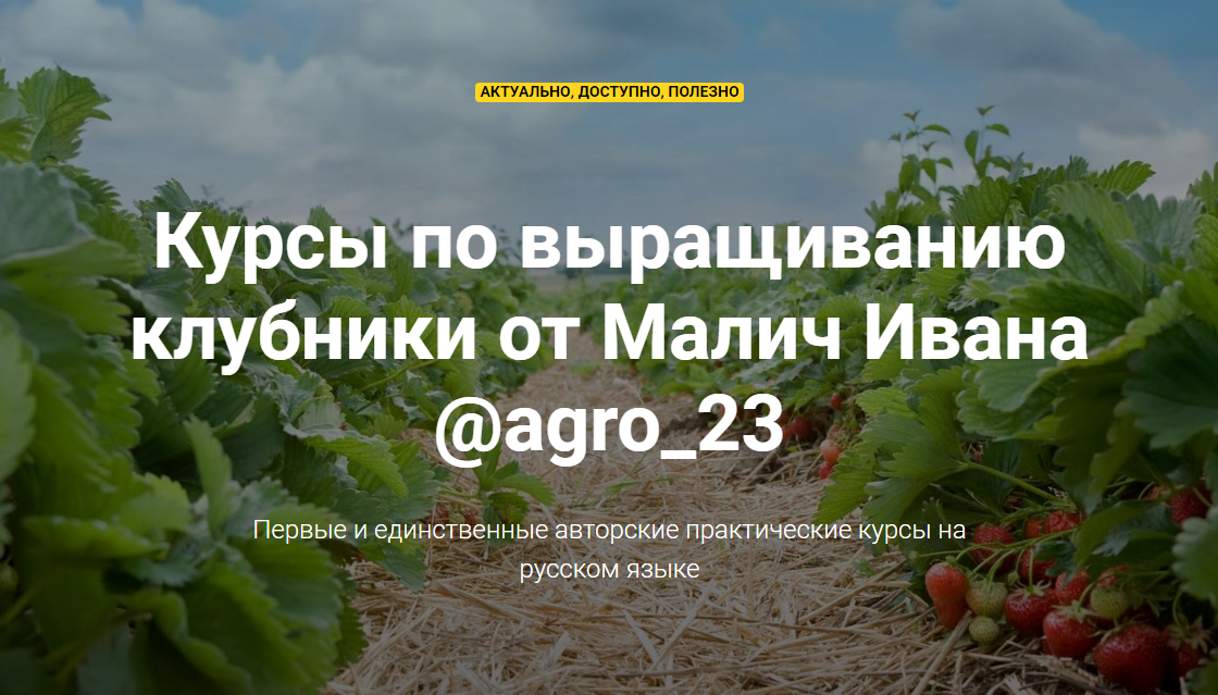 Иван Малич Курсы по выращиванию клубники 2020 слив курса