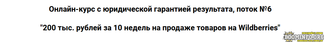 Супер Слив Дмитрий Шалаев 200 тыс. рублей за 10 недель на продаже товаров на Wildberries 2021 Пакет VIP слив курса