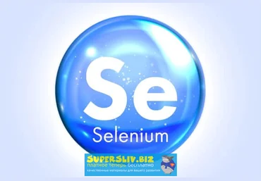 Алексей Баранцев Selenium IDE 3: стартовый уровень 2019 слив