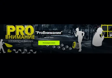 Мария Станкевич Мастер-класс «ProВнимание» 2022 слив