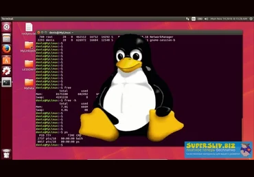 Udemy Linux с нуля до Сертификата Линукс 2019 слив