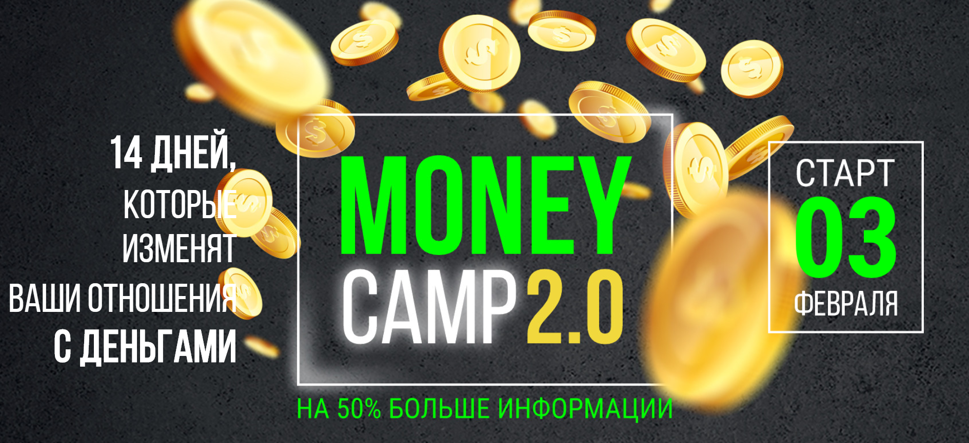Лилия Нилова Money camp 2.0 2020 слив курса
