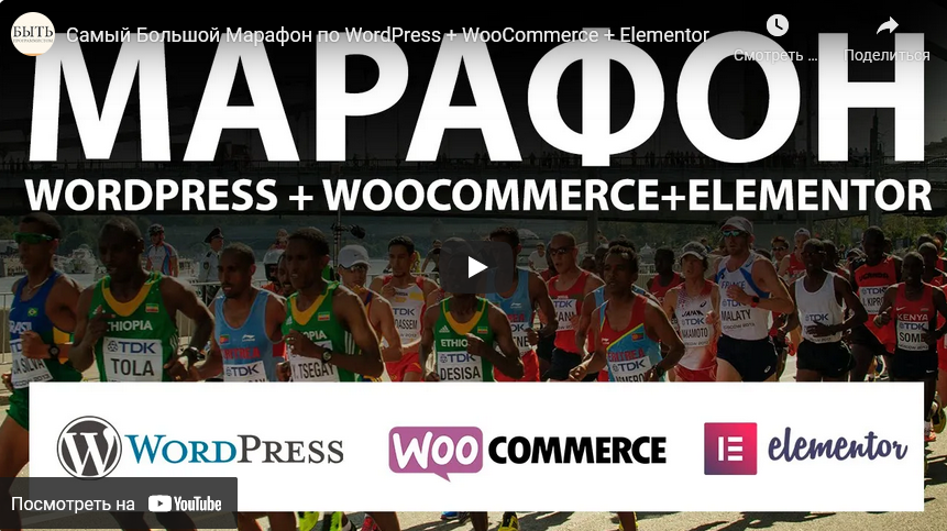 Александр Сокирка geniuscourses.com Марафон по WordPress + WooCommerce + Elementor 2021 слив курса