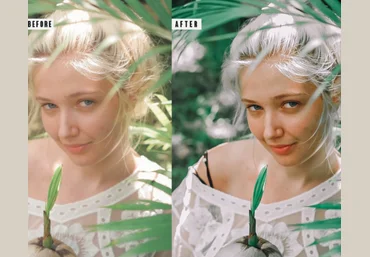 Elements.Envato Avocado Photoshop Action & Lightrom Presets 2021 слив