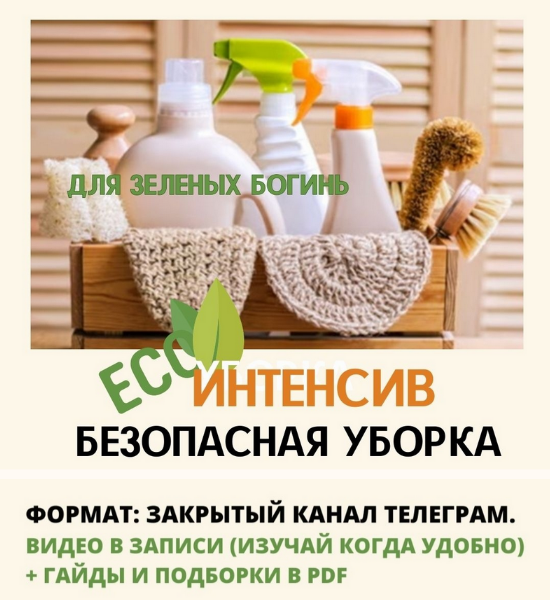Екатерина Кудерцева Безопасная уборка 2024 слив курса