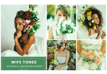 Elements.Envato Wife Tones Action & Lightrom Presets 2021 слив