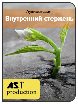 AST Production Внутренний стержень слив курса