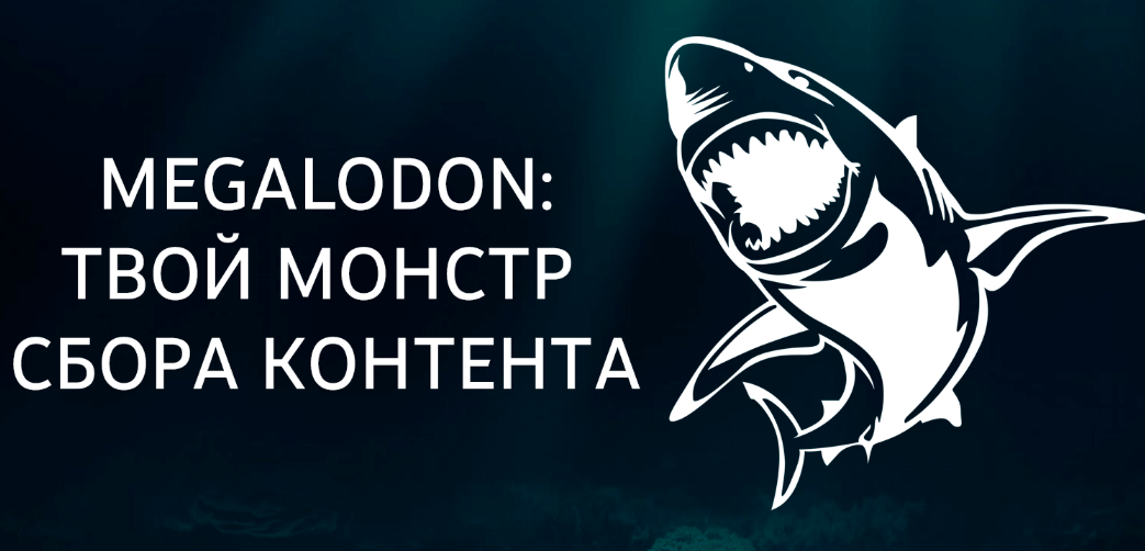 Nztcoder Megalodon Bot - наполнение тг-каналов VK->TG 2022 слив курса