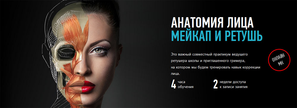 Анатомия лица. Мейкап и ретушь profileschool слив курса