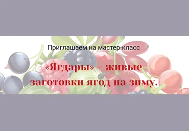 Ягдары – живые заготовки ягод на зиму - Мицкевич 2018 слив