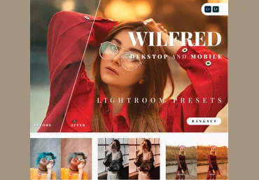 Elements.Envato Wilfred Desktop and Mobile Lightroom Preset 2021 скачать слив