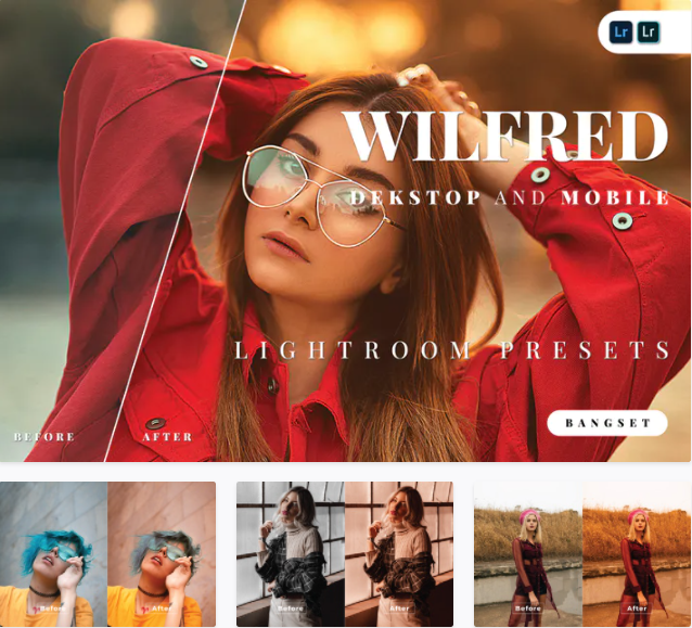 Elements.Envato Wilfred Desktop and Mobile Lightroom Preset 2021 слив курса