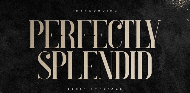 Myfonts Perfectly Splendid Font 2021 слив курса
