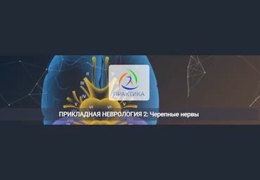 Мария Недре Центр Практика Прикладная неврология 2: Черепные нервы 2025 скачать слив