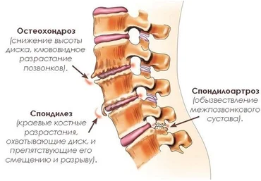 Лечебно – оздоровительный сеанс с мышцами, костями и сухожилиями - Добаева 2014 слив