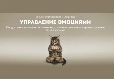 Управление эмоциями - Веритов, Смирнов 2018 слив