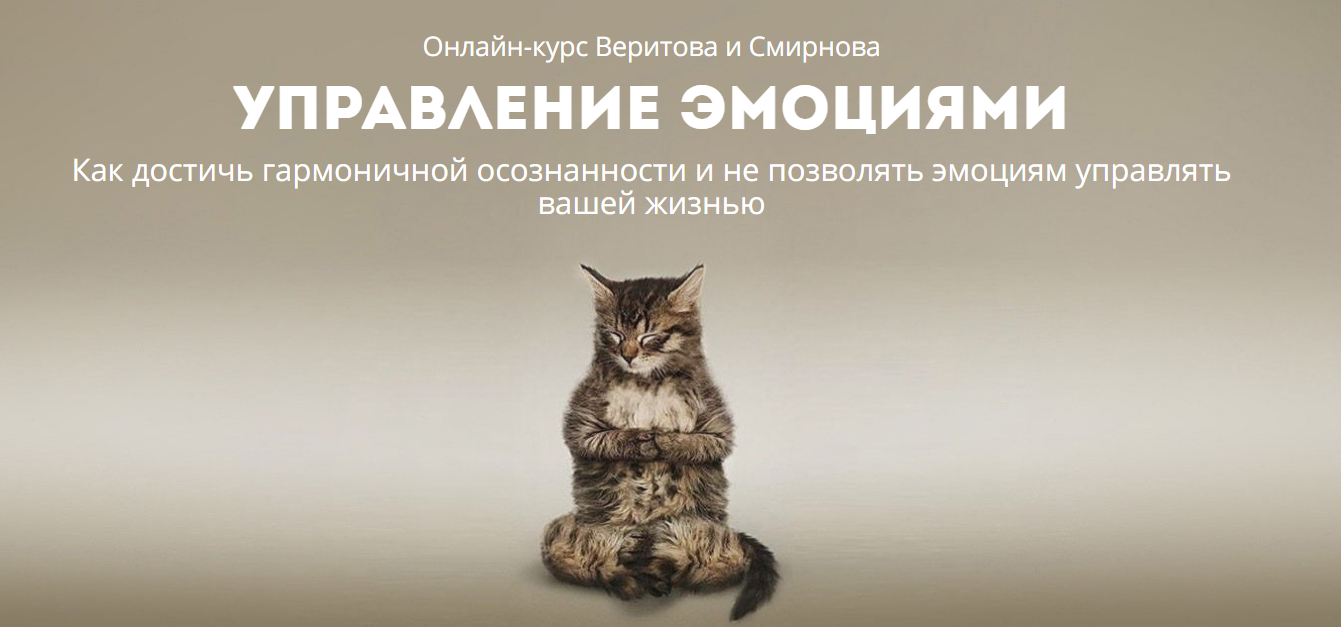 Управление эмоциями - Веритов, Смирнов 2018 слив курса