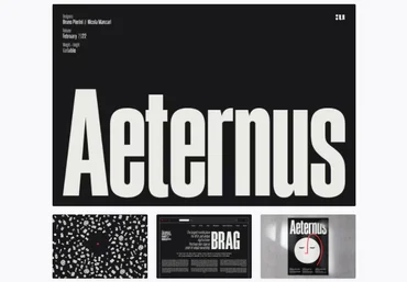 Elements.Envato Aeternus Font 2022 слив