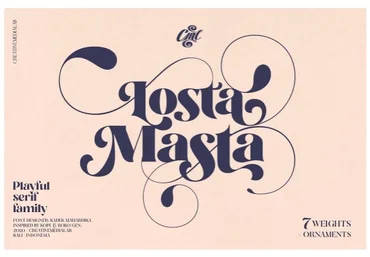 Creativemarket Losta Masta - Playful Serif Family 2021 скачать слив